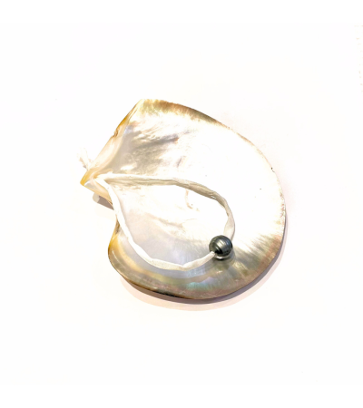 Mother of Pearl & Daughter